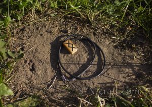 Руны подвески дерево