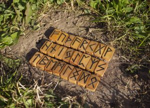 Руны подвески дерево